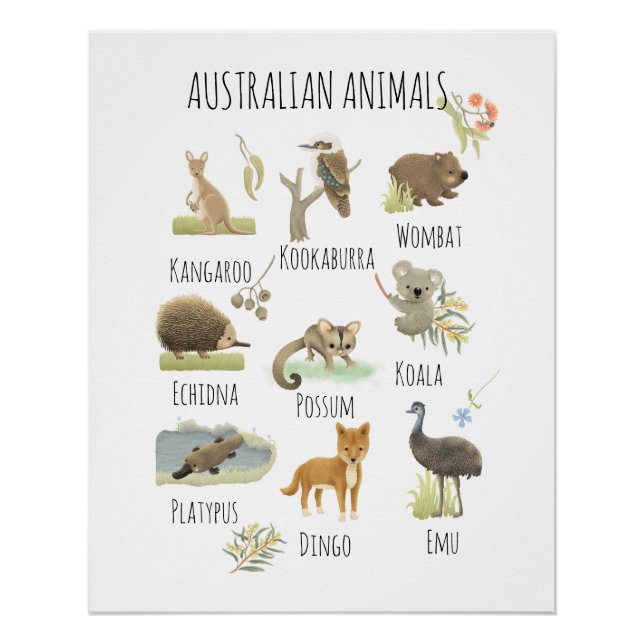 Póster Animais australianos (Frente)