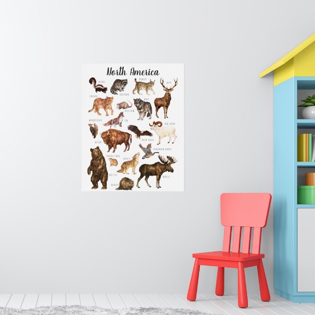 Poster Animais da América do Norte | Sala de Aula Educaci (Berçário 1)