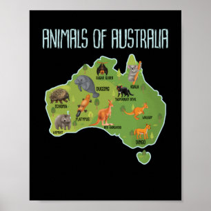 Poster Animais Da Austrália, Educativos Em Animais