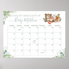 Poster Animais da Floresta Adivinham Jogo de Nascimento d