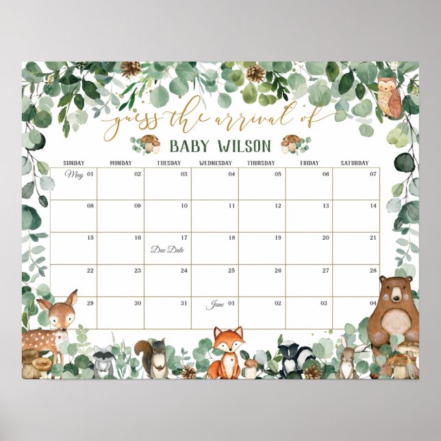 Poster Animais da Floresta Adivinham Jogo de Nascimento d (Frente)