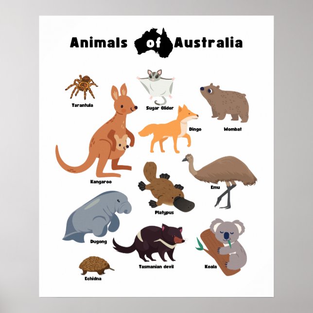 Poster Animais da Vida Selvagem Aussie da Austrália (Frente)