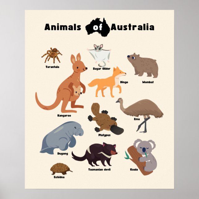 Poster Animais da Vida Selvagem Aussie da Austrália (Frente)