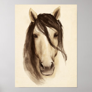Póster Animais de Casca de Aquarela  Cavalo
