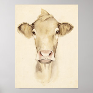 Póster Animais de Casca de Aquarela  Vaca