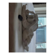 Animais De Companhia Das Toalhas De Suíno Em Cruza