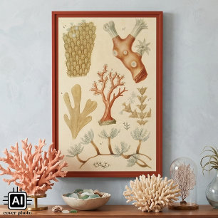 Póster Animais de Coral Vintage, Biologia do Livro de Ciê