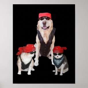 Poster Animais de estimação engraçados do motociclista
