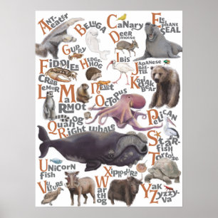 Poster Animais do Alfabeto