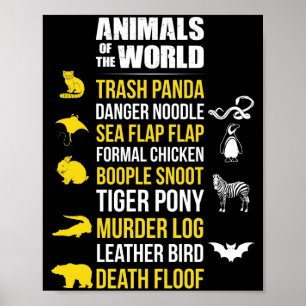 Poster Animais Do Mundo Trash Panda Perigo Noodle