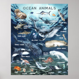 Poster Animais do Oceano | Aprendizado Educacional em Sal
