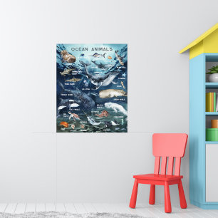 Poster Animais do Oceano Aprendizado Educacional em Sal