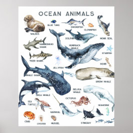 Poster Animais do Oceano | Aprendizado Educacional em Sal