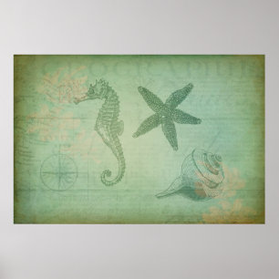 Poster Animais e Seashells do oceano do vintage