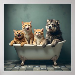Poster Animais engraçados na banheira
