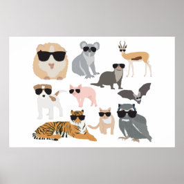 Poster Animais legal e Engraçados Vestindo óculos escuros