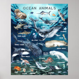 Poster Animais Marinhos | Aprendizado Educacional em Sala