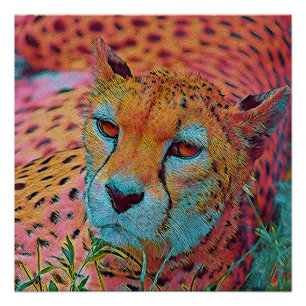 Póster Animais populares - Chita