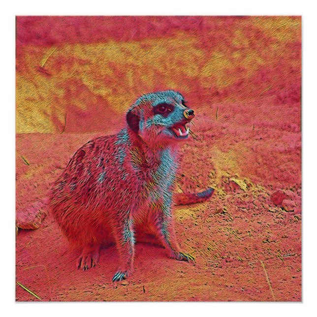 Póster Animais populares - Meerkat (Frente)