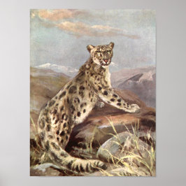 Póster Animais Selvagens Antigos, Leopardo-da-neve por CE