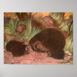 Póster Animais Selvagens Antigos,ouriços-cacheiros por Lo