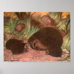 Póster Animais Selvagens Antigos,ouriços-cacheiros por Lo