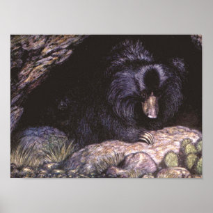 Póster Animais Selvagens Antigos, Ursos-Preguiça por Loui