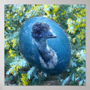 Poster Animais selvagens do Emu