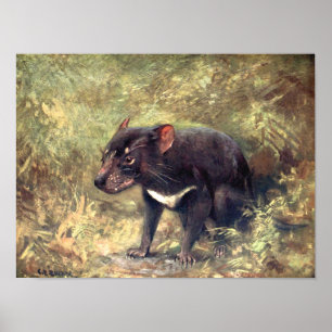 Poster Animais Selvagens Vintage, Diabo da Tasmânia por C