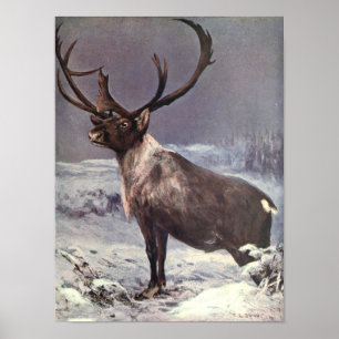 Póster Animais Selvagens Vintage, Rena Caribu por CE Swan
