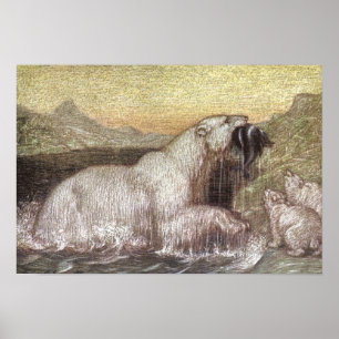 Póster Animais Selvagens Vintage, Ursos Polares de Louis 