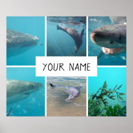 Poster Animais Submarinos Personalizados na Austrália