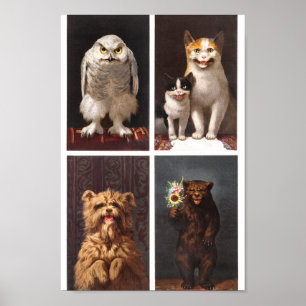 Poster Animais Vintage