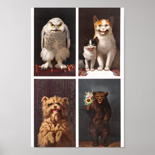 Poster Animais Vintage (Frente)