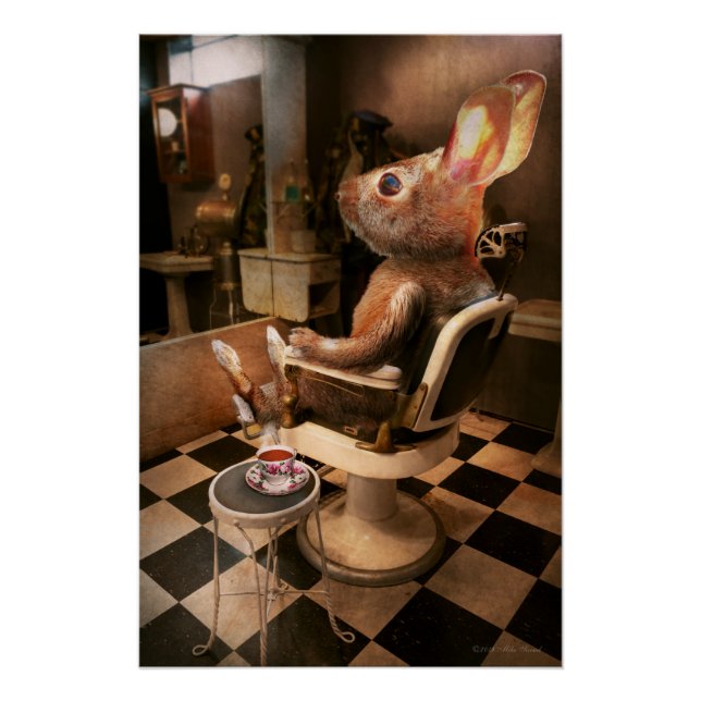 Póster Animal - Coelho - Corte de lebre (Frente)