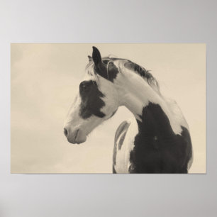 Poster Animal de Nobel