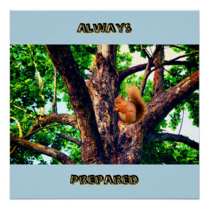 Póster Animal Esquilo