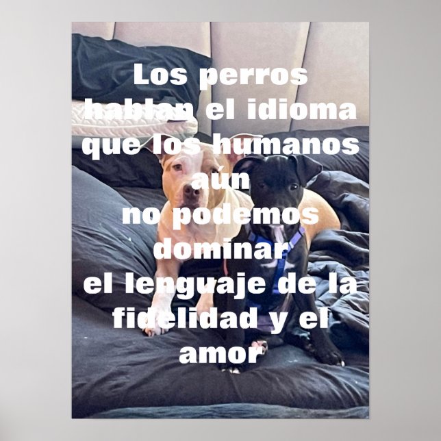 Poster animal lenguaje (Frente)