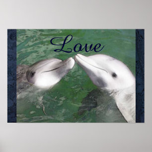 Poster Animal marinho do oceano da água de peixes do amo