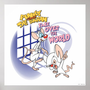 Poster Animaniacs Assumir O Gráfico Mundial