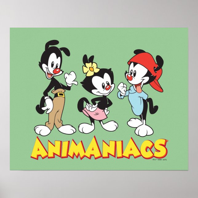 Poster Animaniacs | Yakko, Dot e Wakko Permanente (Frente)