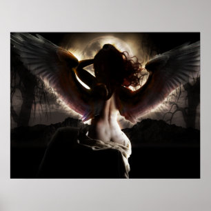 Póster Anjo da noite