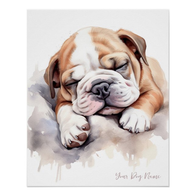 Póster Anjo super giro dormindo cachorrinho Bulldog 001 - (Frente)