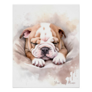 Póster Anjo super giro dormindo cachorrinho Bulldog 002 -