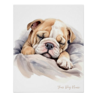 Póster Anjo super giro dormindo cachorrinho Bulldog 003 -