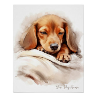 Póster Anjo super giro dormindo cachorrinho Dachshund Cão