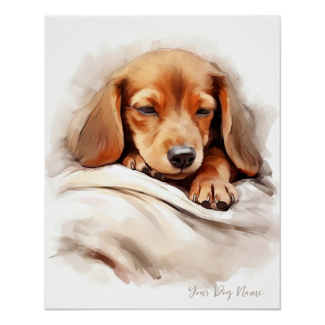 Póster Anjo super giro dormindo cachorrinho Dachshund Cão (Frente)