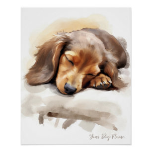 Póster Anjo super giro dormindo cachorrinho Dachshund Cão