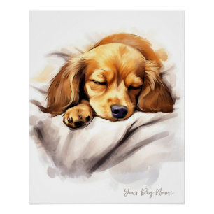 Póster Anjo super giro dormindo cachorrinho Dachshund Dog