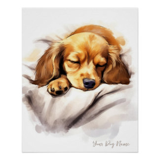 Póster Anjo super giro dormindo cachorrinho Dachshund Dog